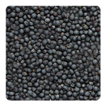 Theraline